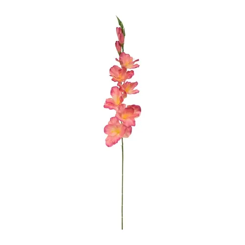 Gladiolus – vetvička 77 cm pink/yellow K321